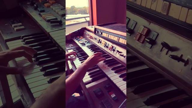 Tucker played Electone..... Song/Baby Won't You Please Come Home - Bent Fab смотреть онлайн