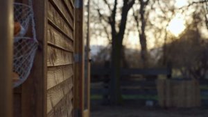 МИНИМАЛИЗМ