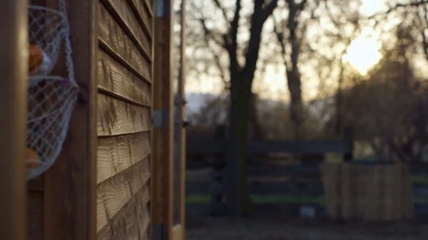 МИНИМАЛИЗМ