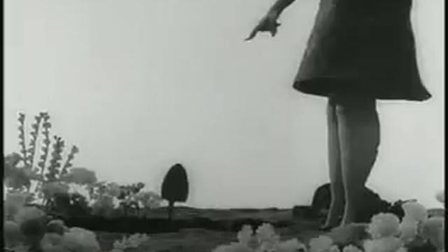Tim Burton - Vinsent смотреть онлайн