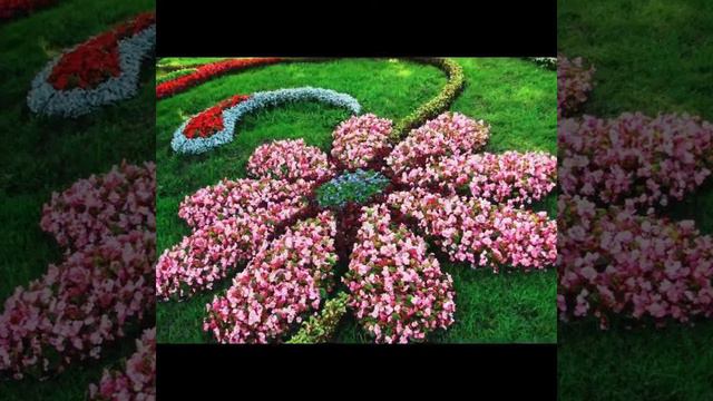 "Back to School: Let a Million Flowers Bloom" by Jed смотреть онлайн