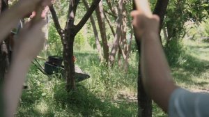 Короткометражный фильм для всей семьи «ЗАКОНЫ МЗИАНЕТИ. ЖИТЬ ПО СОВЕСТИ»