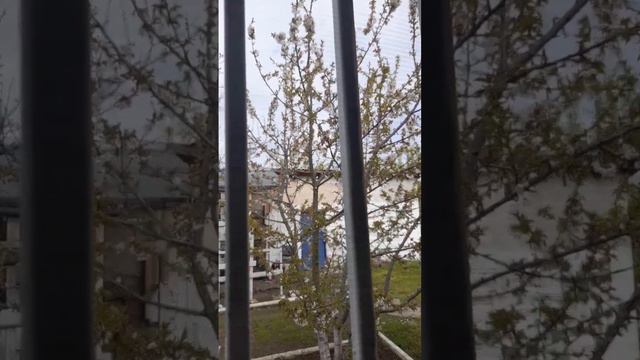 Приятно слушать, птички весной смотреть онлайн