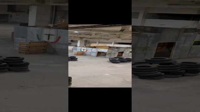 Тренировка команды TSG