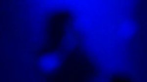 The Birthday Massacre -- Red Stars (live in Moscow 2014)