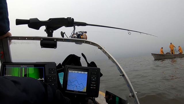 В поисках Ладожского окуня в тумане 12.11.2020. Весь день искали и наконец нашли. Пробую джерки. смотреть онлайн