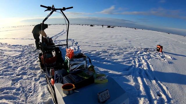 В поисках Ладожского окуня. Креницы зимой. Ловля на блесна, мормышки и жерлицы. смотреть онлайн