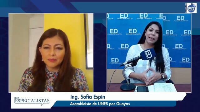 Programa Especial: Ec. Pablo Arosemena - Ec. Marco Flores - Ing. Sofía Espín - Dr. Augusto Tandazo. смотреть онлайн