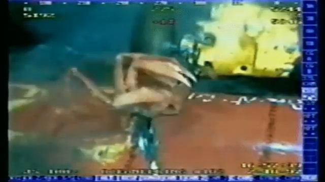 Crab getting sucked into a pipe with Half Life SFX V2 смотреть онлайн