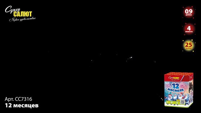 СС7316_2024 смотреть онлайн