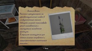S.T.A.L.K.E.R. Legacy of Times Beta Прохождение #1 Сталкер на движке Cry Engine 2
