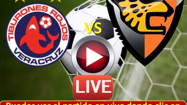Ver Chiapas vs Veracruz Online 23 enero 2016 Liga MX Clausura 2016 Jornada 3 Estadio Cuauhtémoc Pue смотреть онлайн
