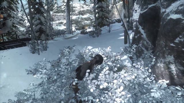 Let's Play ► Rise of the Tomb Raider - Part 20 - Tracking Down Trinity [Blind][XBOX One Gameplay] смотреть онлайн