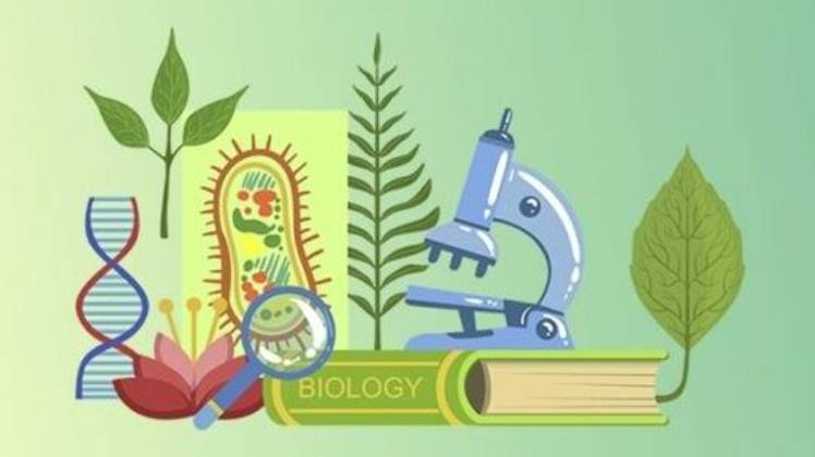 Биология 7 класс. Класс Брюхоногие моллюски.-- смотреть онлайн