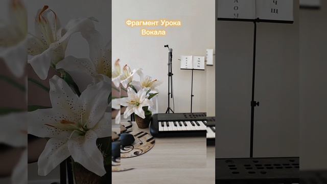 Фрагмент Урока Вокал 🎤 Поет Баритон👌 смотреть онлайн