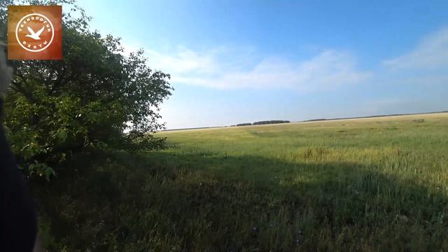 ПЕРВАЯ ОХОТА ЛЕТО 2022 смотреть онлайн