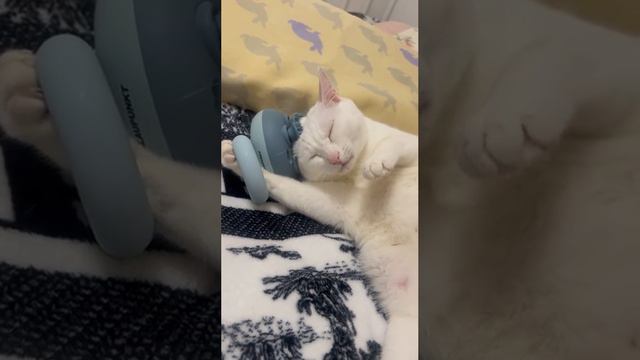 прикол смотреть онлайн