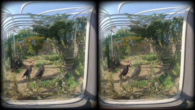 VID 20240703 095929 00 221