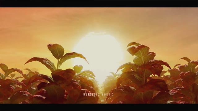 Far Cry 6 заставка