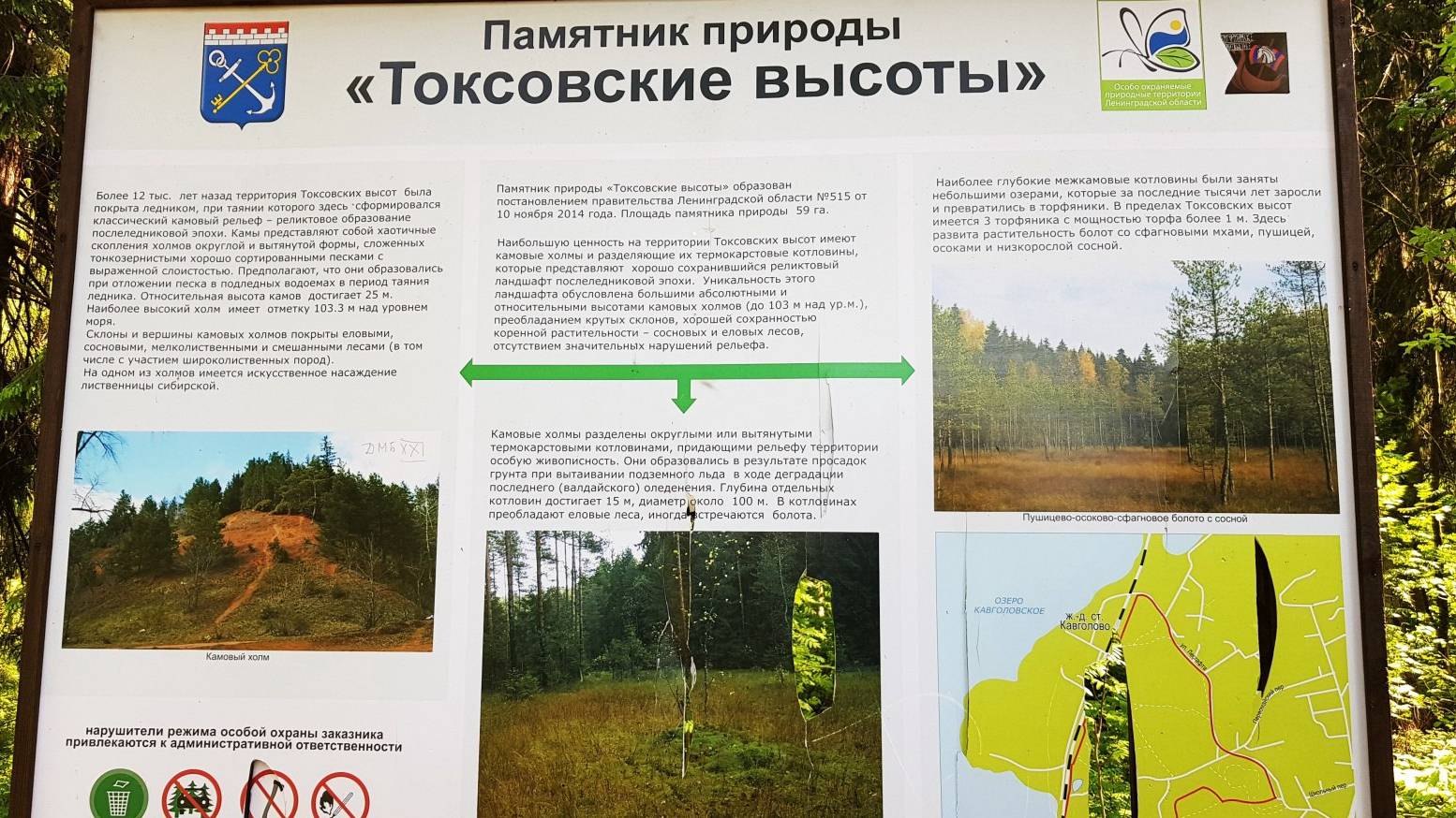 Экотропа «Еловые Холмы». смотреть онлайн