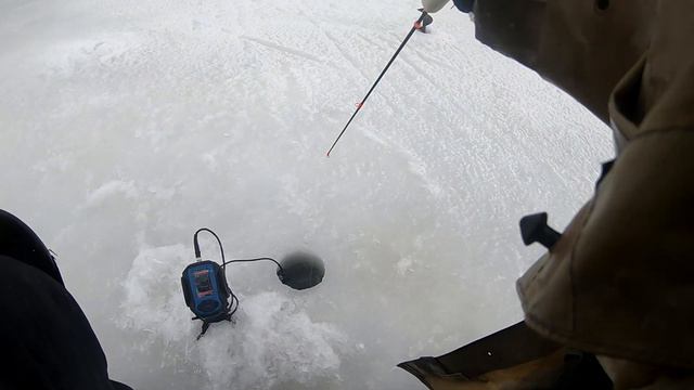 Лучшая зимняя рыбалка на Ладоге в худшую погоду. Испытание самодельного разборного модуля толкач. смотреть онлайн