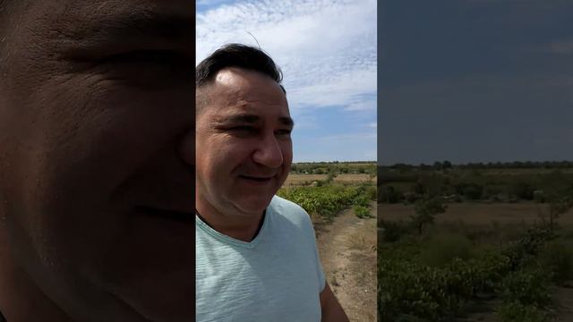 Люся смотреть онлайн