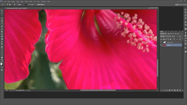 Как вырезать цветы с неоднородного фона смотреть онлайн