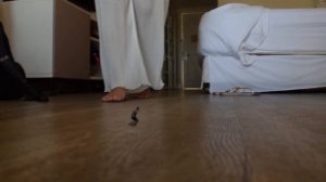 Giantess Foot Stomp FX