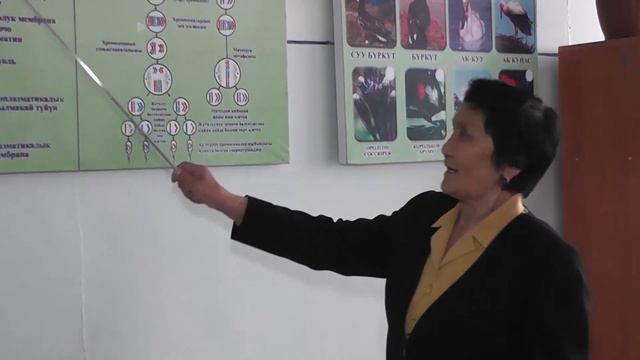 Мугалим момолуу дарак. №77 мектеп, Бишкек шаары смотреть онлайн