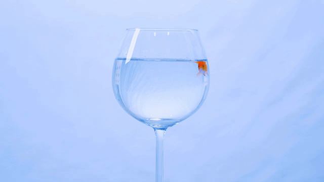 "Воротись, д... ты к рыбке; Поклонись ей, выпроси уж эфир на 10000!" смотреть онлайн