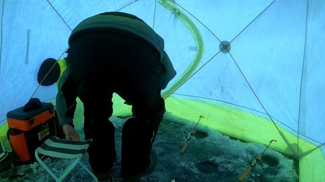 Лучшая рыбалка на корюшку в моей жизни. Лёд трещит прямо в палатке. Рекорд побит х3. Бешеный клёв!!! смотреть онлайн