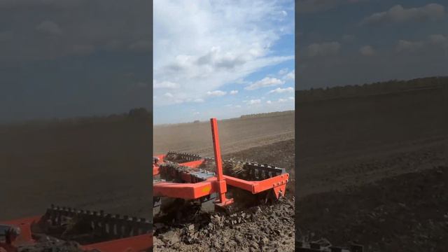 Чизельный плуг работает по парам #фермерство #farming #чизельныйплуг #стеллар #интерполе смотреть онлайн