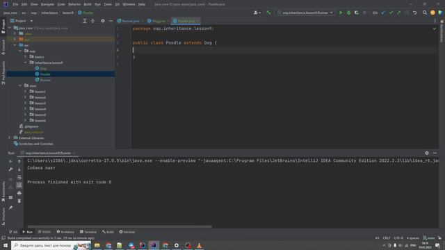 Java с нуля #68 Введение в наследование Практика смотреть онлайн