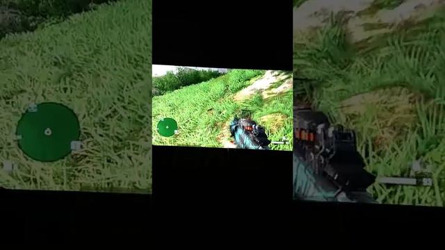 FarCry 3 Dingo Pelt Quest смотреть онлайн