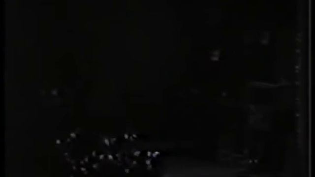 Franco Giovine Aria Craesbeke Pittori Fiamminghi Smareglia смотреть онлайн