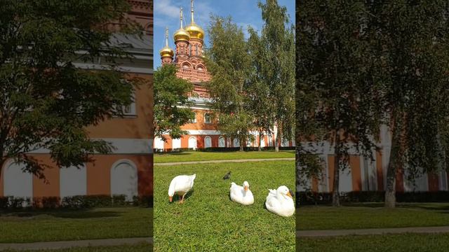 Гефсиманский Черниговский скит смотреть онлайн