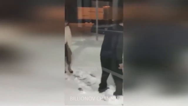 ПРОСТО СМЕШНЫЕ ПРИКОЛЫ БЕЗ МАТА