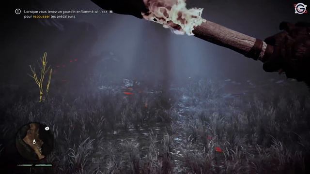Far Cry Primal FR #1 : Bienvenue à l'âge de Pierre ! смотреть онлайн