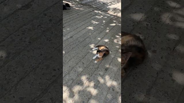 Ностальгия смотреть онлайн