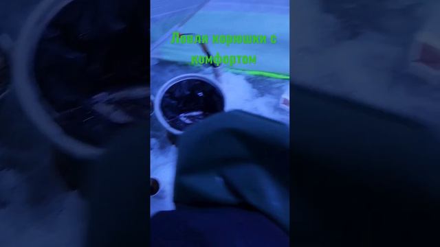 Ловля корюшки с комфортом. Бешеная поклёвка корюшки. #ловлякорюшки #комарово #финскийзалив смотреть онлайн