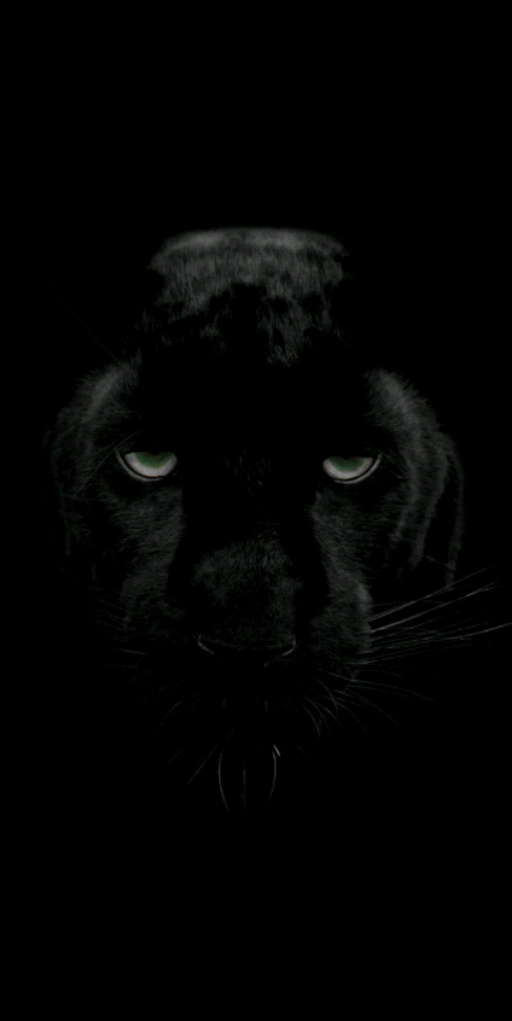 бандитка смотреть онлайн