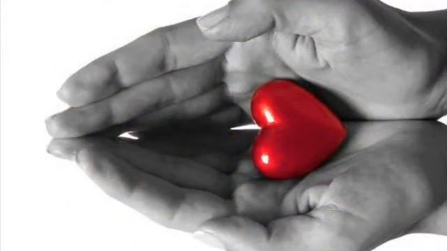 MUSTAFA SANDAL TESİR ALTINDA & MERVE AKYOL смотреть онлайн