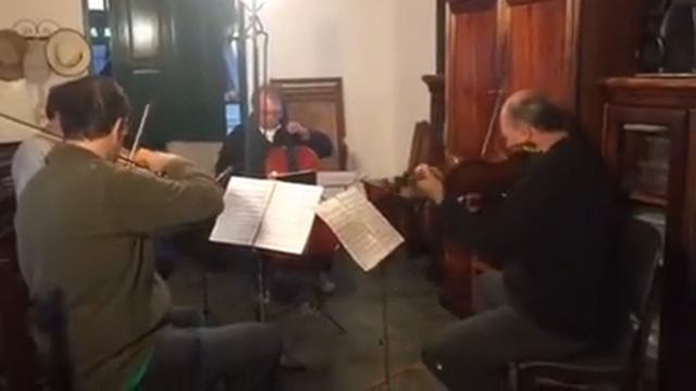 Quarteto Carlos Gomes - Schumann, Quarteto No. 1 (Rehearsal) смотреть онлайн