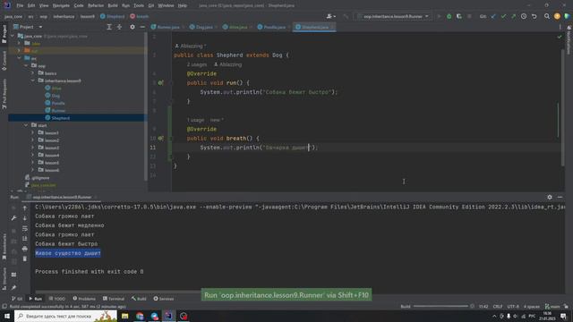 Java с нуля #71 Цепочки наследования — копия смотреть онлайн
