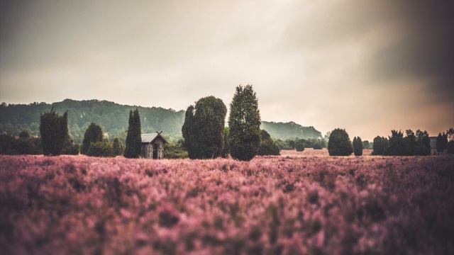 Day 44 - Sevcik, 40 Variations, Op. 3 - Var. 1 (review) - 100 Days of Violin Practice смотреть онлайн