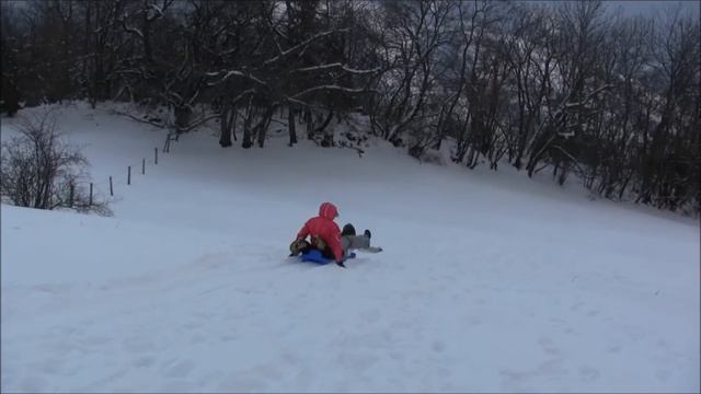 Au volant comme en luge = Tous responsable смотреть онлайн