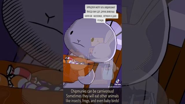 Natural Habitat Shorts на русском | Бурундуки | ВалерьЯнка Project