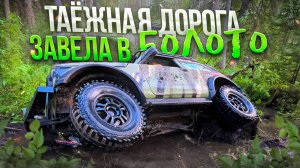 Дорога завела в Болото