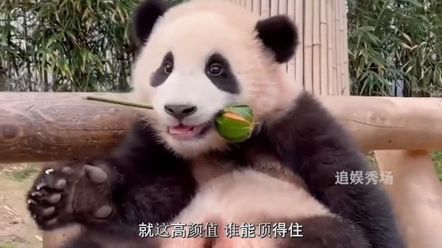 宋爷爷又来偷看福宝了，兜里还揣着胡萝卜，看到福宝的一瞬间爷爷忍不住抽泣【追娱秀场】 смотреть онлайн