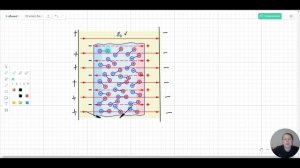Проводники и диэлектрики в электростатическом поле